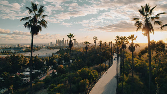 Mon Aventure de 10 Jours en Californie
